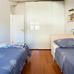 Apartment Mav